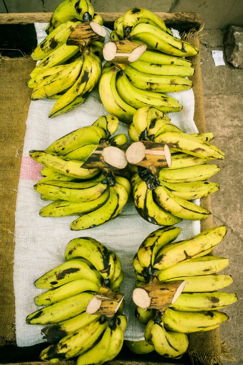 首屏主视觉承担品牌与办公协作场景的识别作用，其余图片对应交付阶段与能力说明